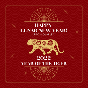 Happy Lunar New Year!